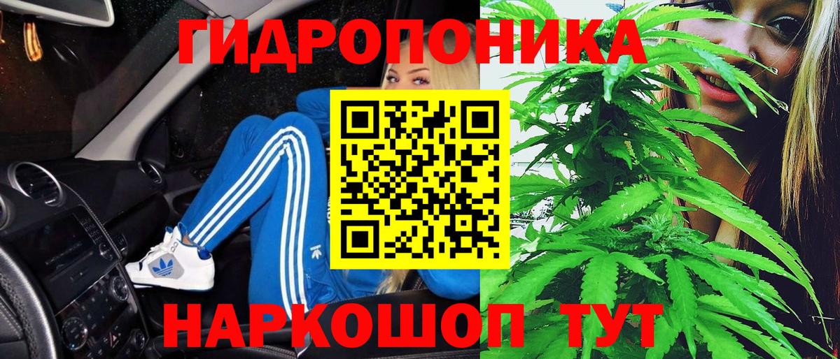 Шишки марихуана план  Канабис планчик  Тихорецк  Конопля THC 21%  Вход с VPN 
